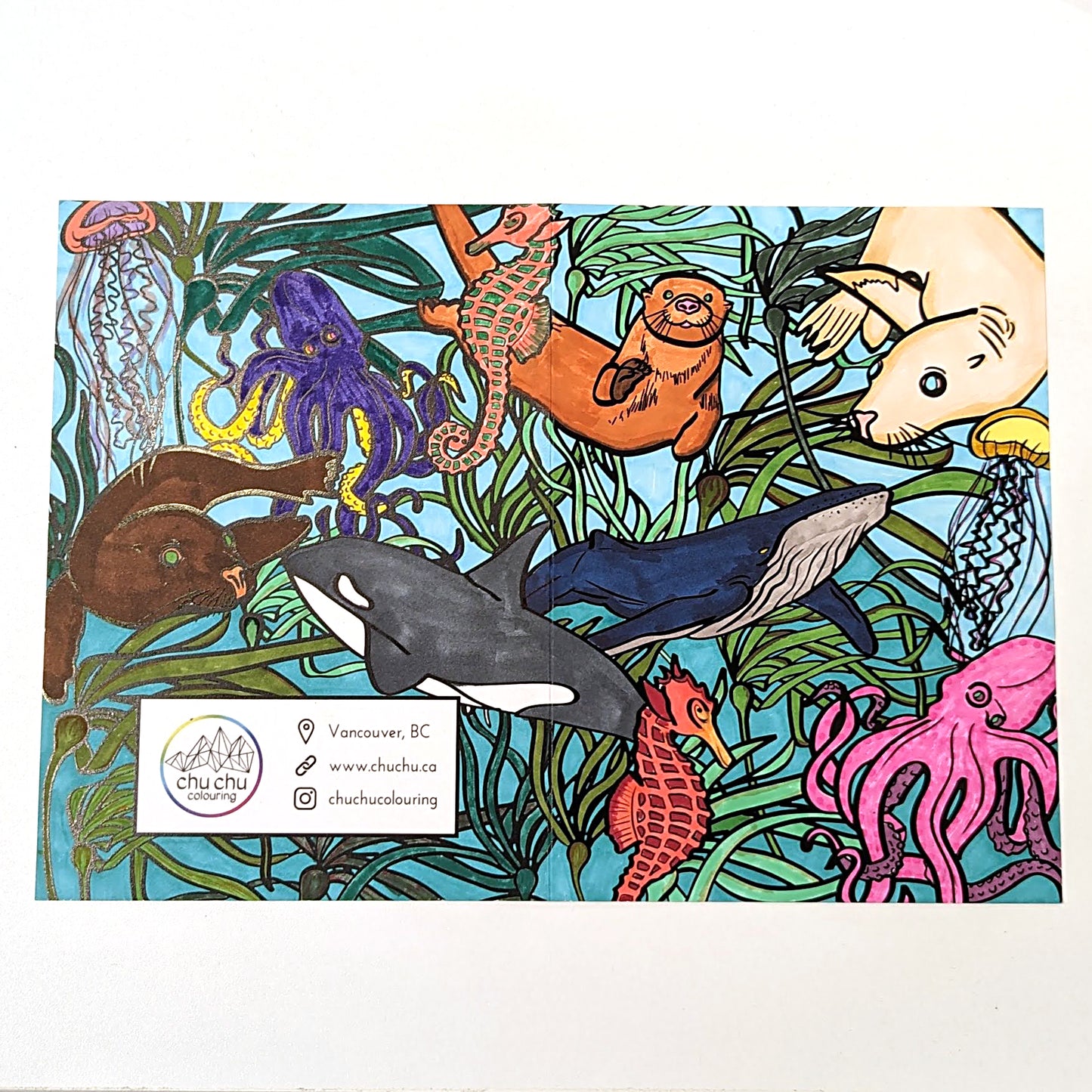 Chu Chu Mural Colouring Greeting Cards | Set of 3